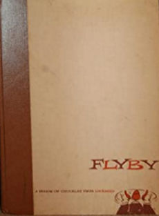 Plain brown cover of the "Flyby" book